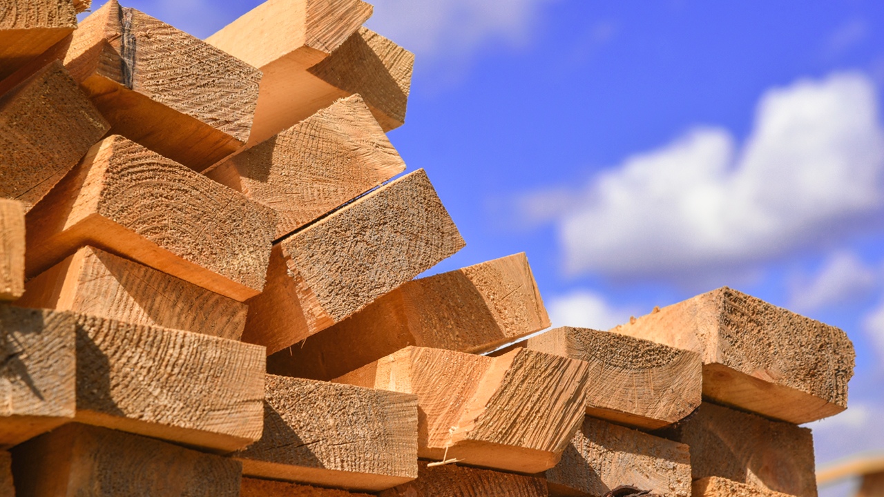 Image of Hickory timber