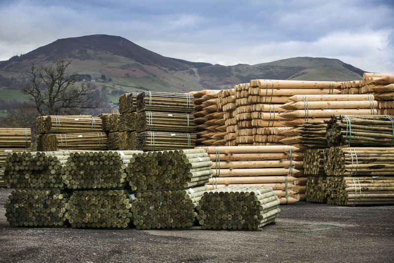 Responsible Timber Harvesting